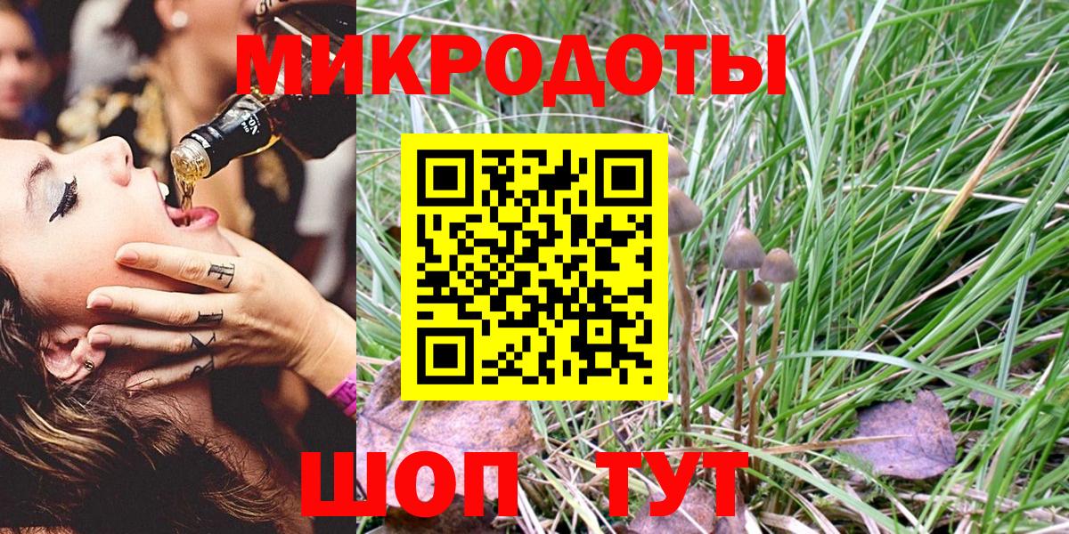 Псилоцибиновые грибы мицелий Лесной