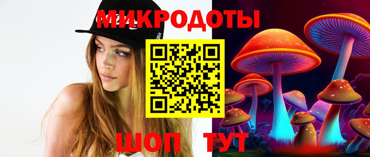 наркота  Псилоцибиновые грибы Psilocybe  Вход с VPN  Лесной 